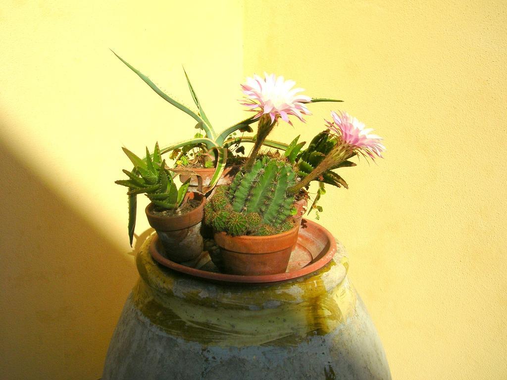 A Durmi Levanto
